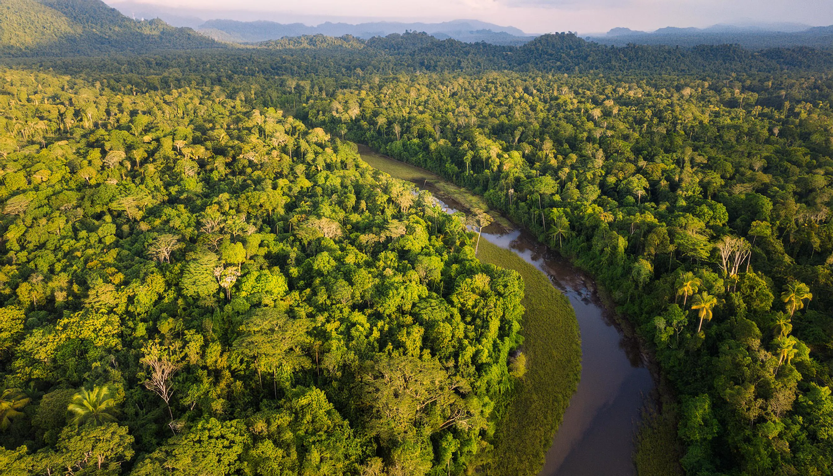 Perché la biodiversità è cruciale?