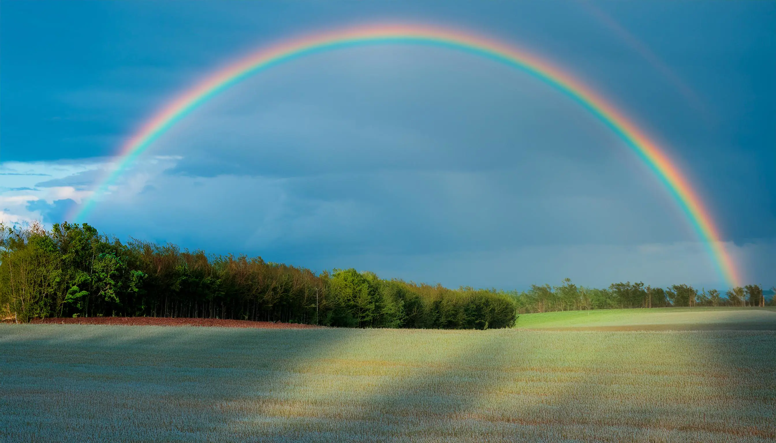 Come si forma l'arcobaleno?